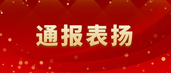 關(guān)于對河南鴻宸魚山島項目部的通報表揚